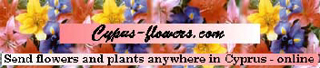 Cyprus flowers for your gifts, bouquets, wines and champagnes delivered throughout Cyprus