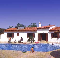 Olive grove villa latchi.jpg (17721 bytes)