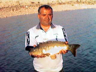 fisheries in cyprus 29.JPG (16951 bytes)