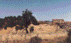 ruins of houses.GIF (40090 bytes)