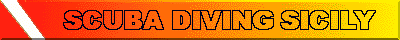 scubabanner.gif (4070 bytes)