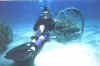 diving with canon.JPG (20653 bytes)